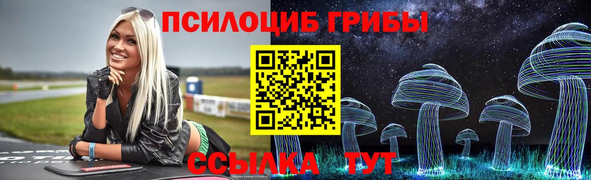 Галлюциногенные грибы Cubensis  Вход с VPN  Мурманск 