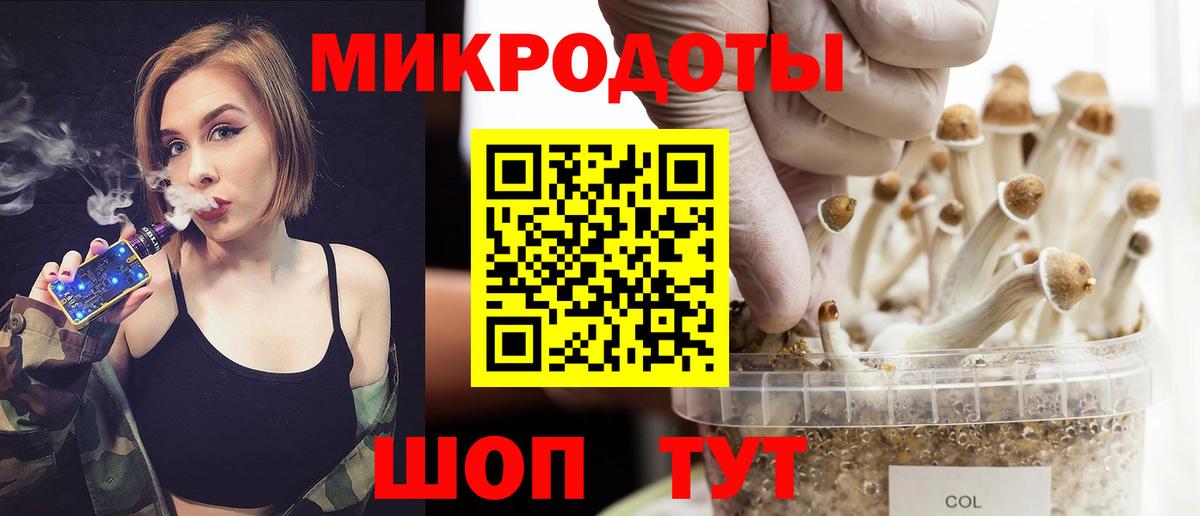 Псилоцибиновые грибы GOLDEN TEACHER Мурманск